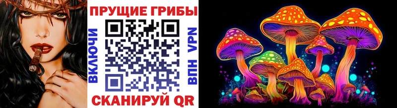 Псилоцибиновые грибы прущие грибы Александров