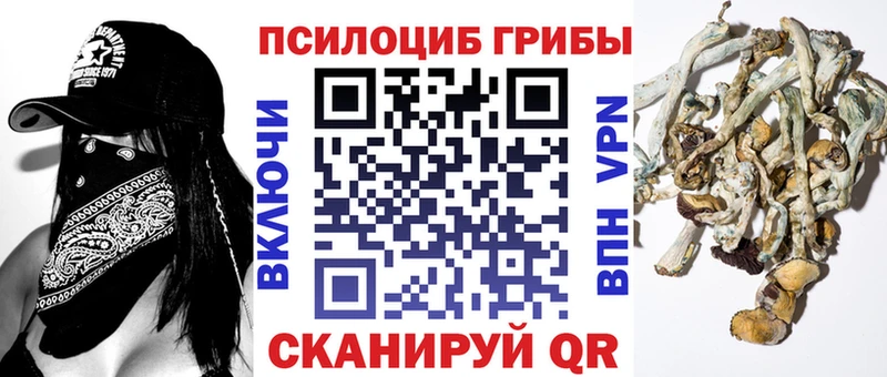 Псилоцибиновые грибы Psilocybe  блэк спрут зеркало  Александров 